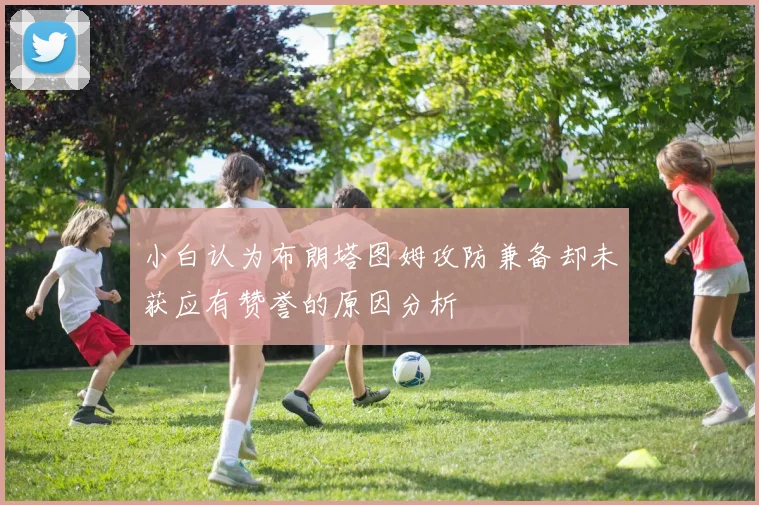 小白认为布朗塔图姆攻防兼备却未获应有赞誉的原因分析
